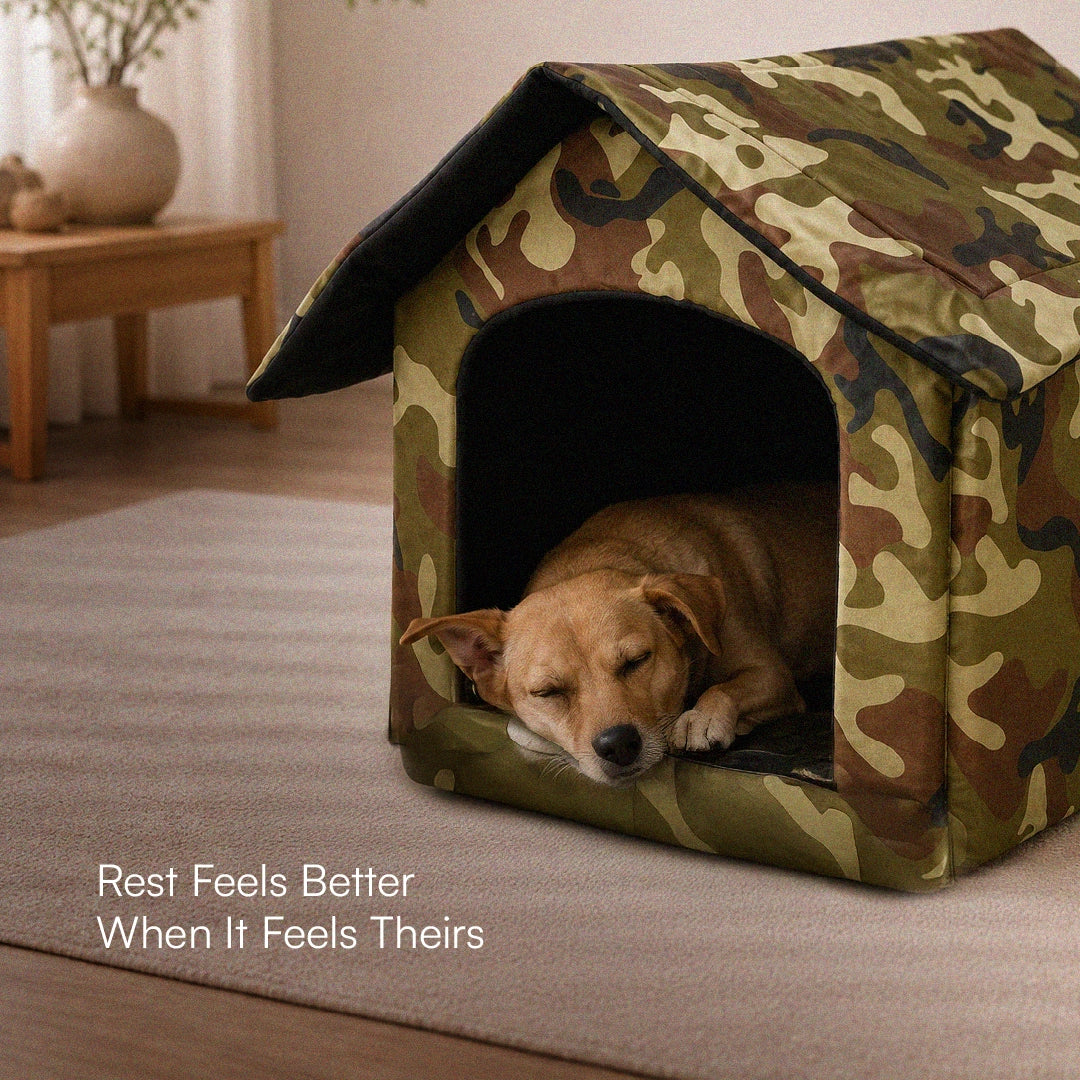 CampCove Hut | Covered Comfort for Everyday Rest for dogs and cats