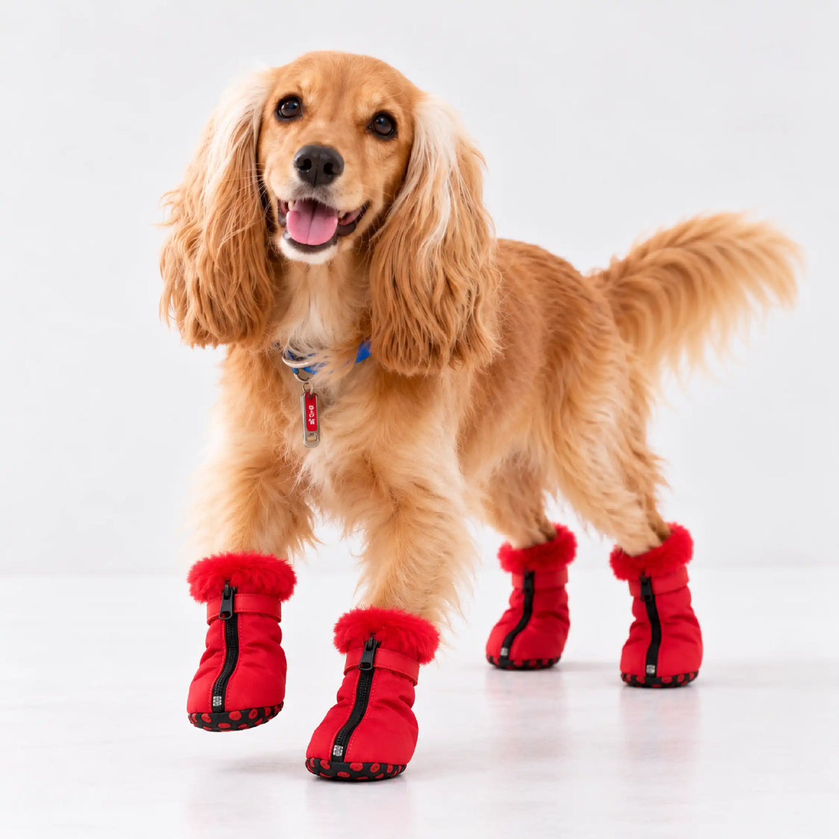 Carmine Luxe Boots