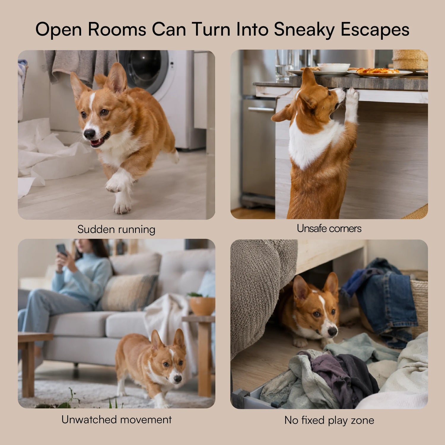 CasaFrolic Playpen | Foldable Pet Enclosure | Safe, Portable & Breathable
