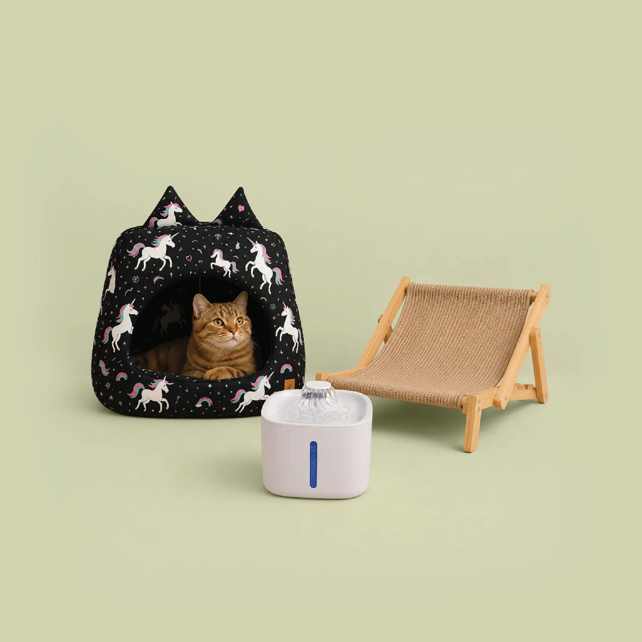 Cat Comfort Kit | Hide, Sip & Scratch