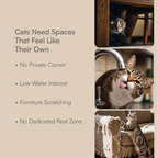Cat Comfort Kit | Hide, Sip & Scratch