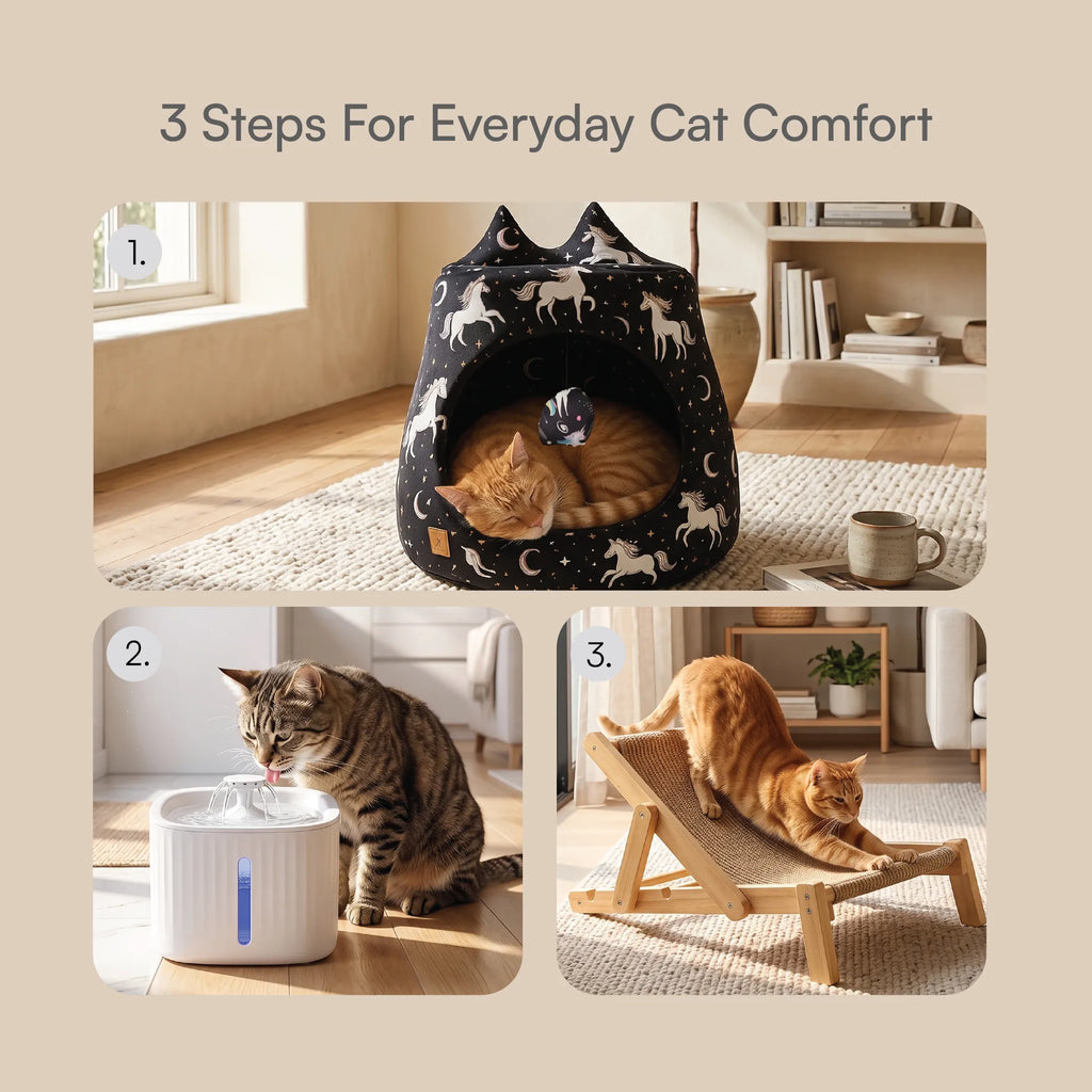 Cat Comfort Kit | Hide, Sip & Scratch