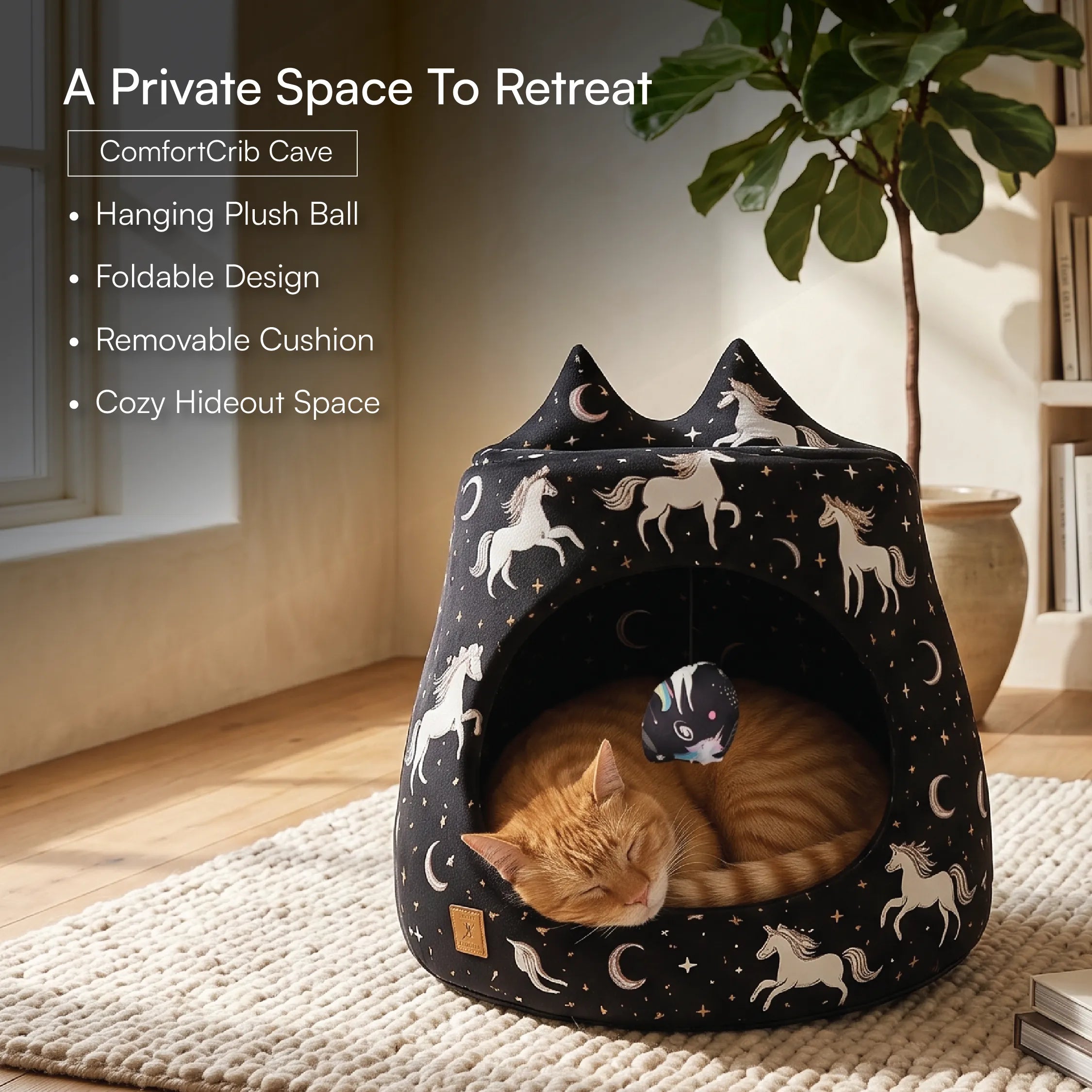 Cat Comfort Kit | Hide, Sip & Scratch
