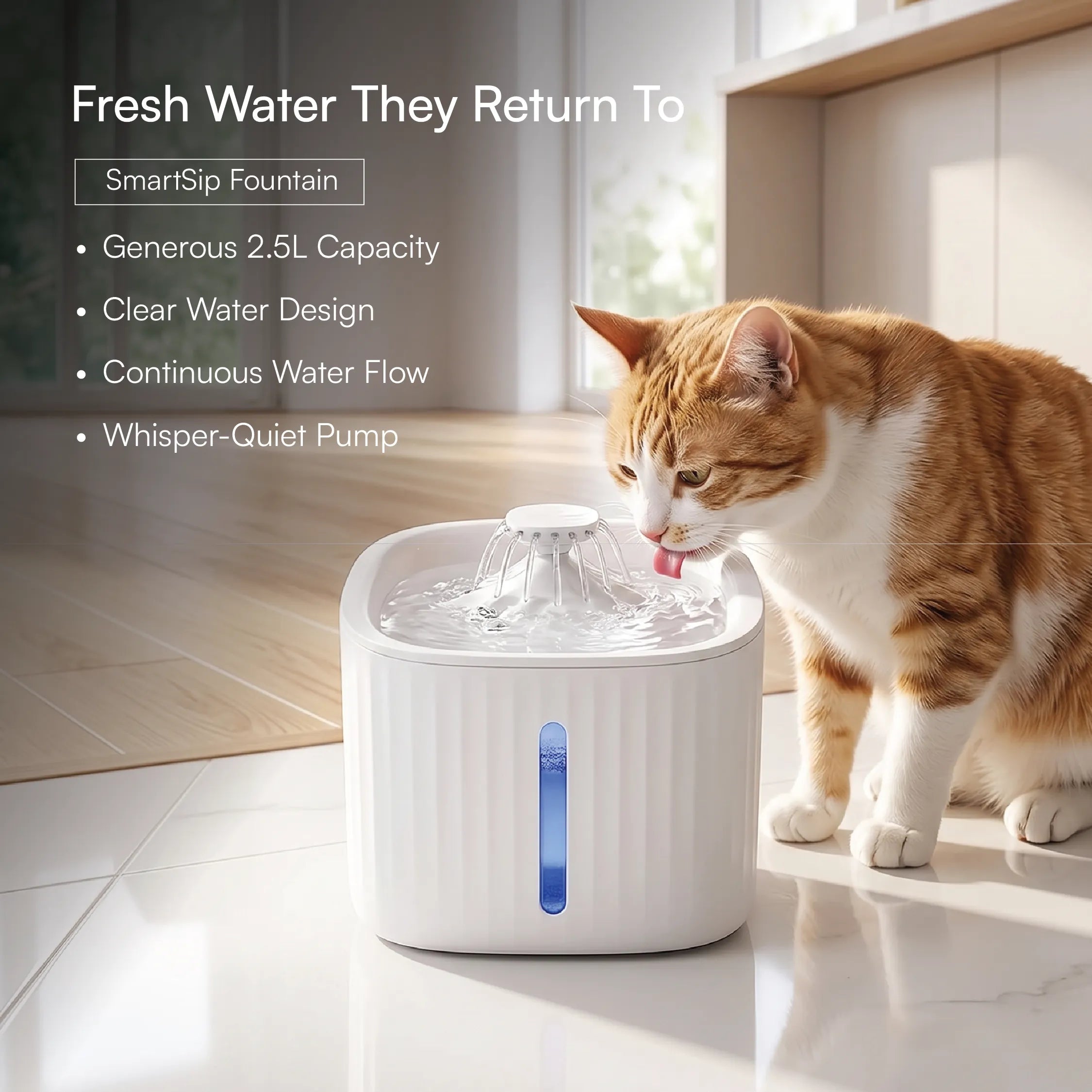 Cat Comfort Kit | Hide, Sip & Scratch