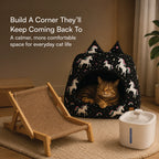 Cat Comfort Kit | Hide, Sip & Scratch