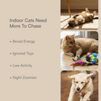 Cat Play Kit – Interactive Indoor Play Kit for Cats