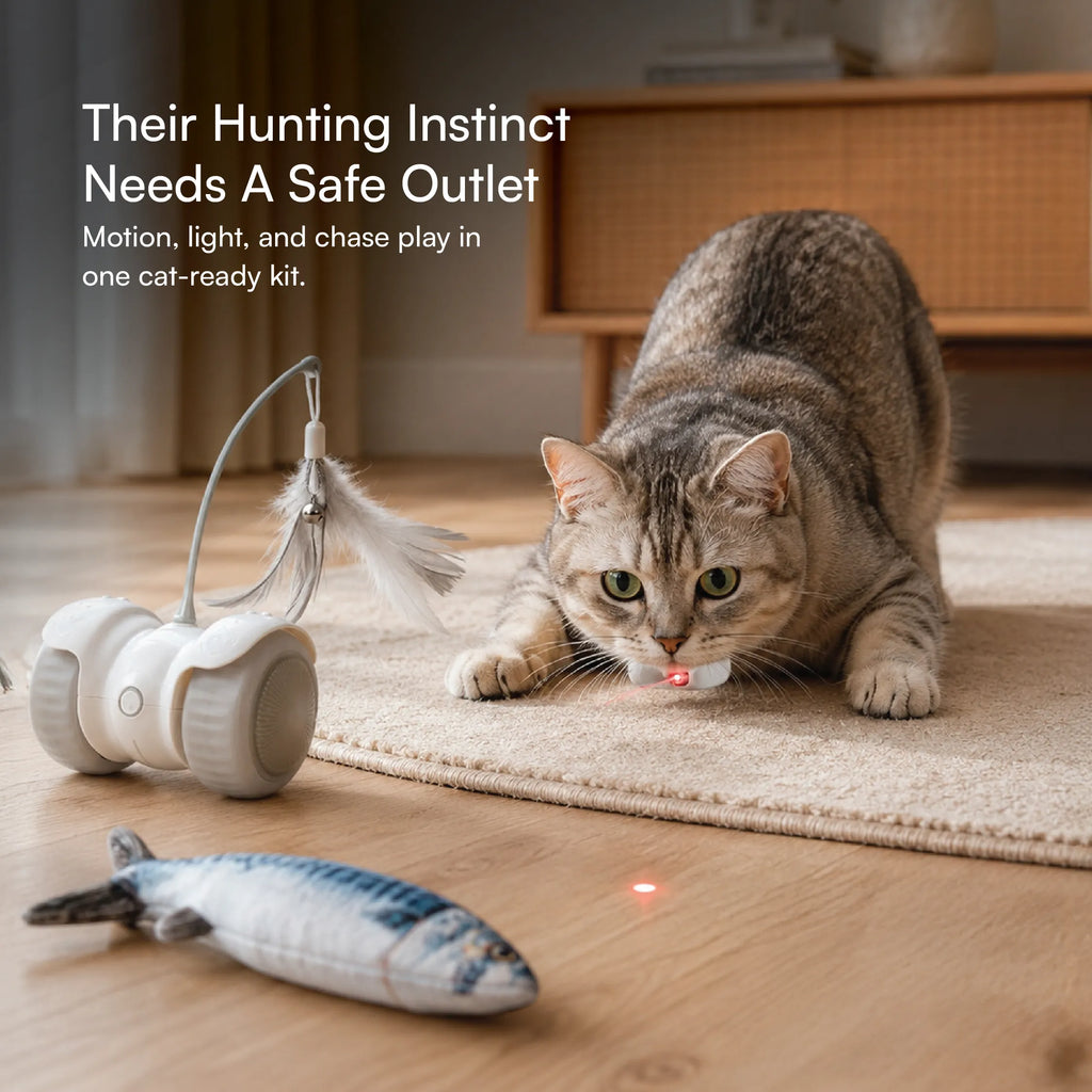 Cat Play Kit – Interactive Indoor Play Kit for Cats