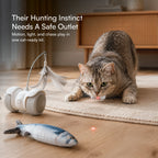 Cat Play Kit – Interactive Indoor Play Kit for Cats