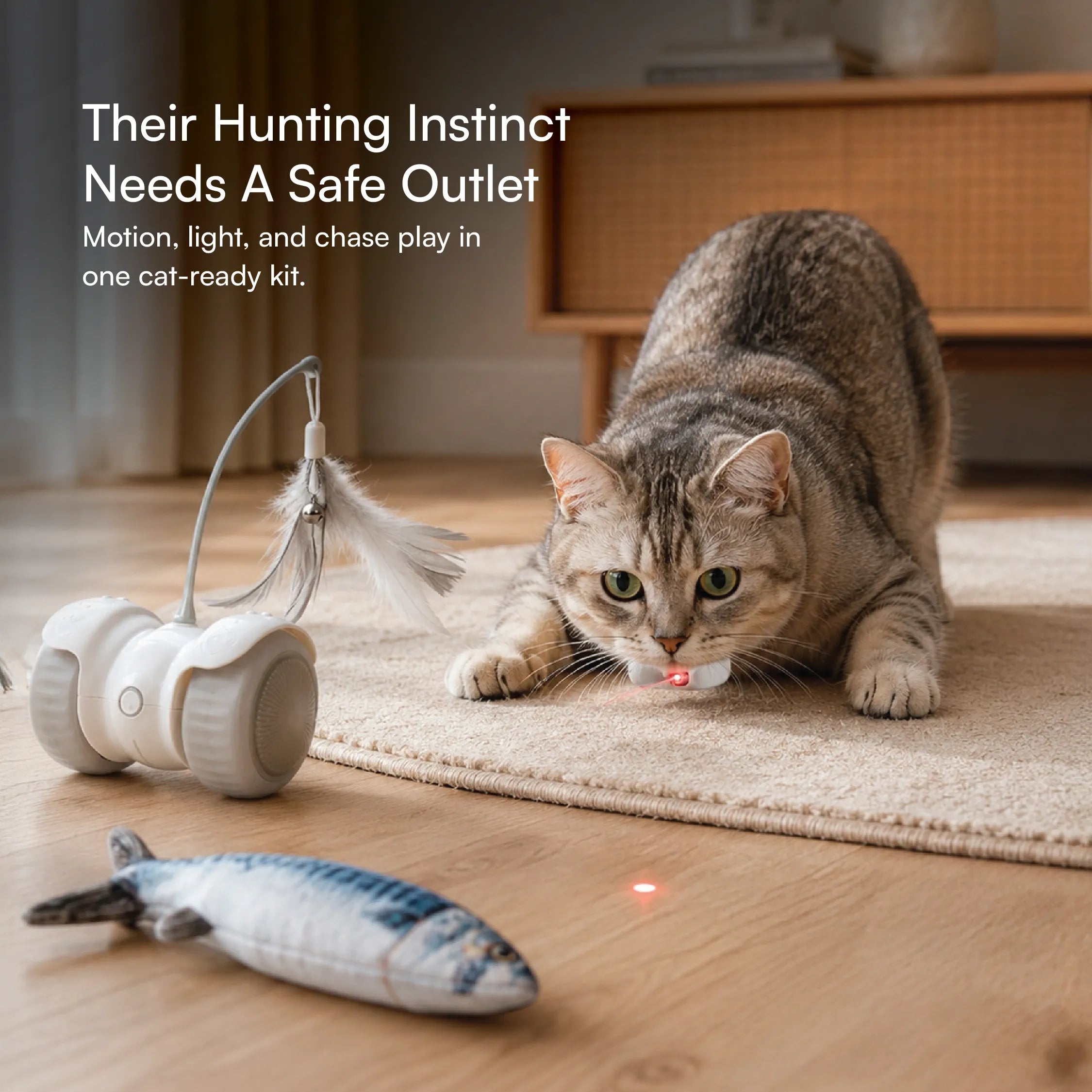 Cat Play Kit – Interactive Indoor Play Kit for Cats