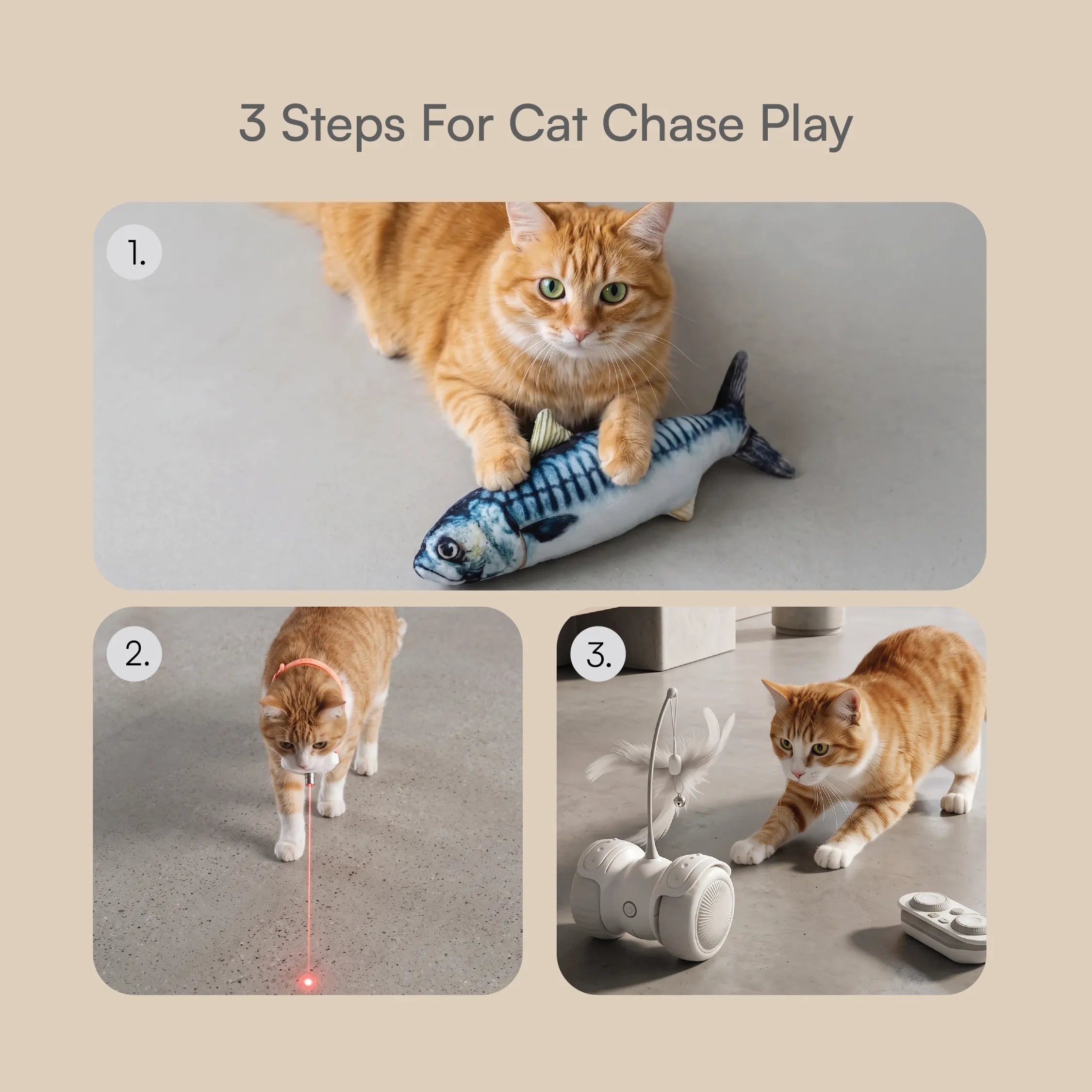 Cat Play Kit – Interactive Indoor Play Kit for Cats