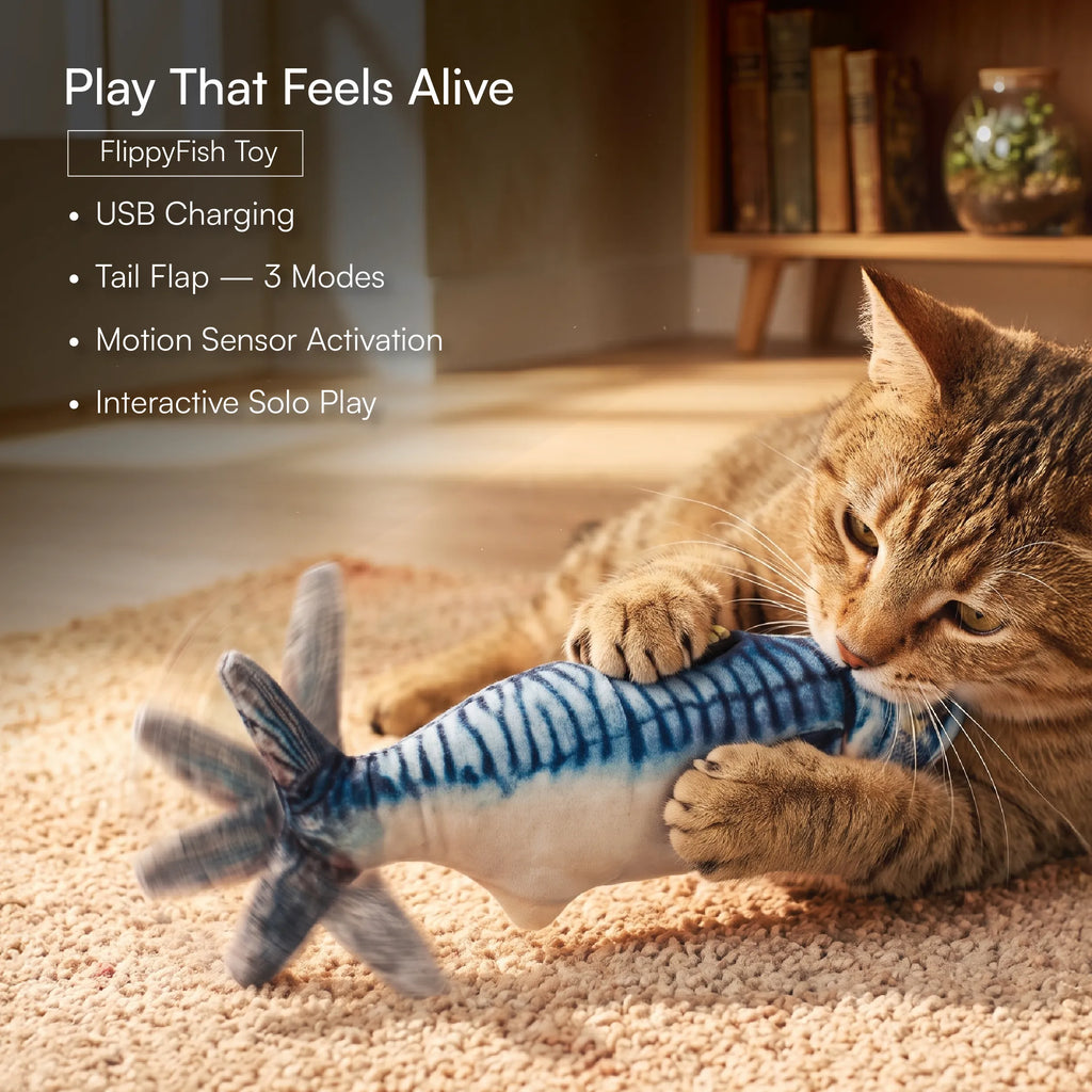 Cat Play Kit – Interactive Indoor Play Kit for Cats