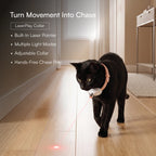 Cat Play Kit – Interactive Indoor Play Kit for Cats