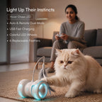 Cat Play Kit – Interactive Indoor Play Kit for Cats
