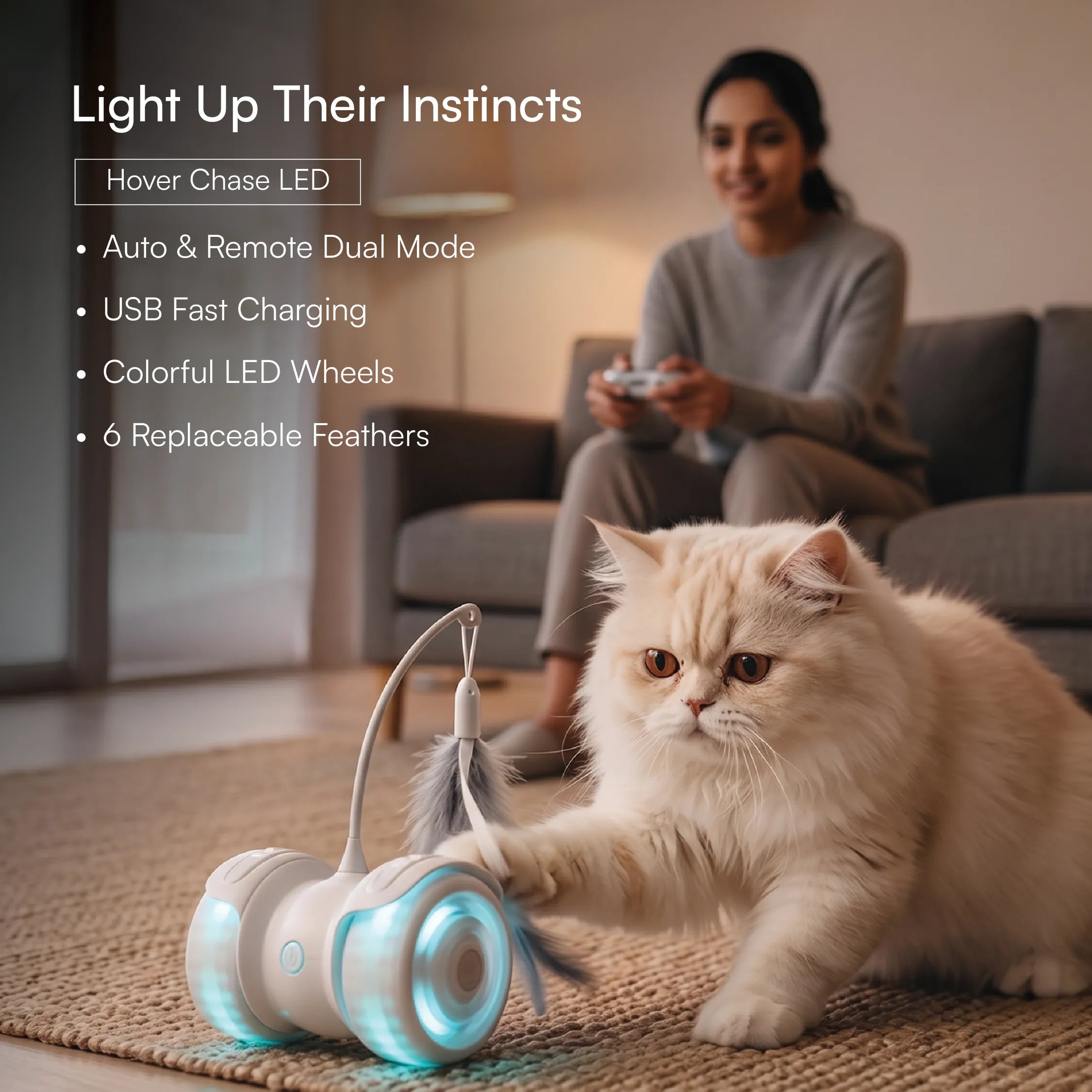 Cat Play Kit – Interactive Indoor Play Kit for Cats