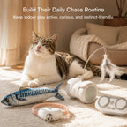 Cat Play Kit – Interactive Indoor Play Kit for Cats