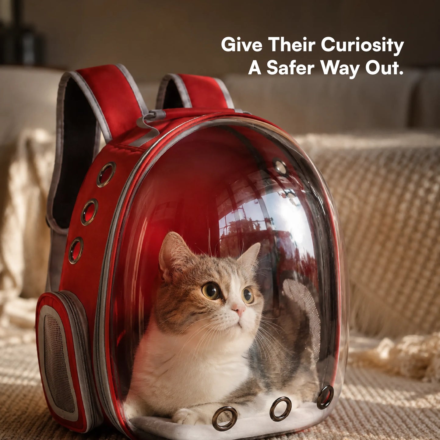 Catstronaut Backpack – Breathable Bubble Travel Backpack for Cats up to 6.5 kg