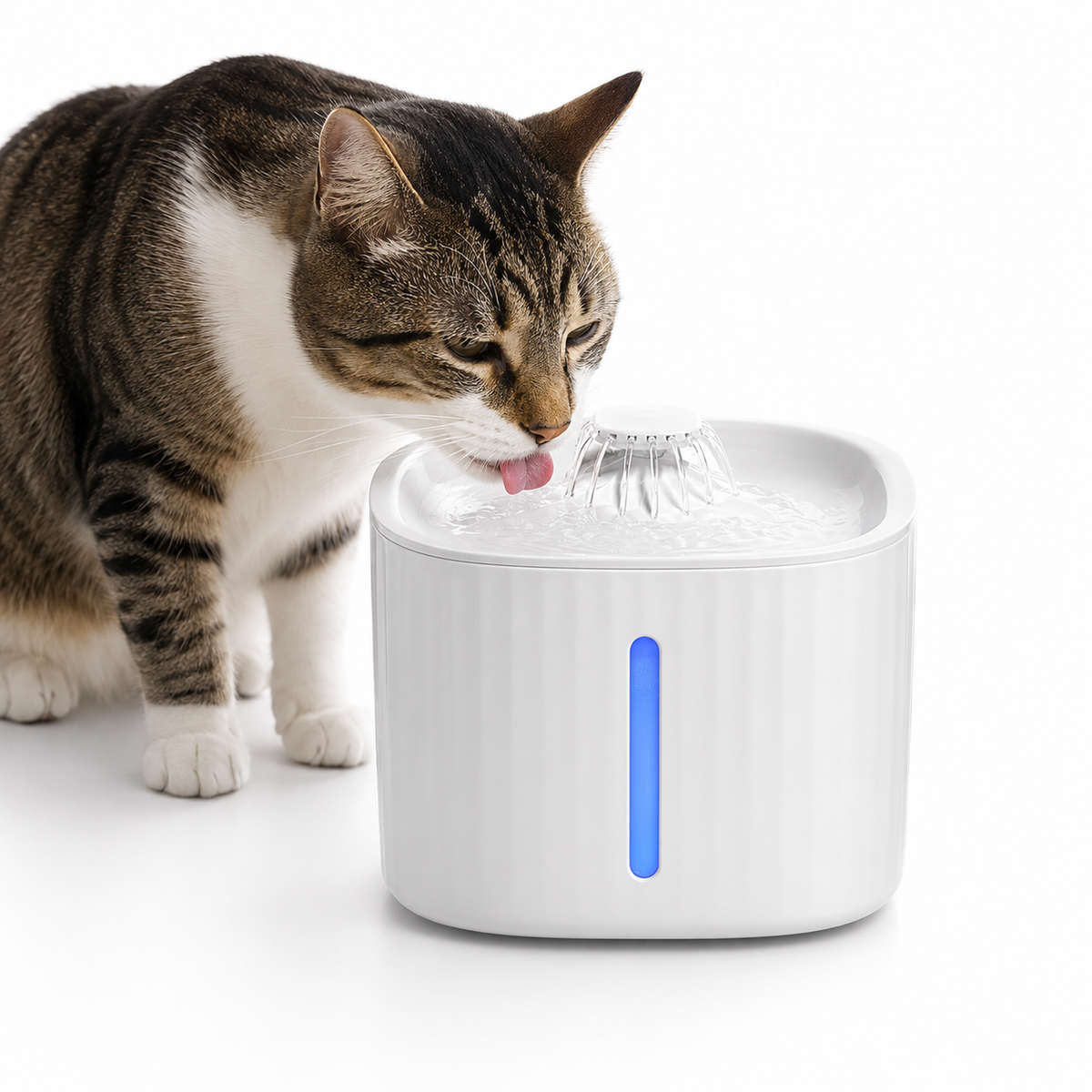 SmartSip Fountain for Cats