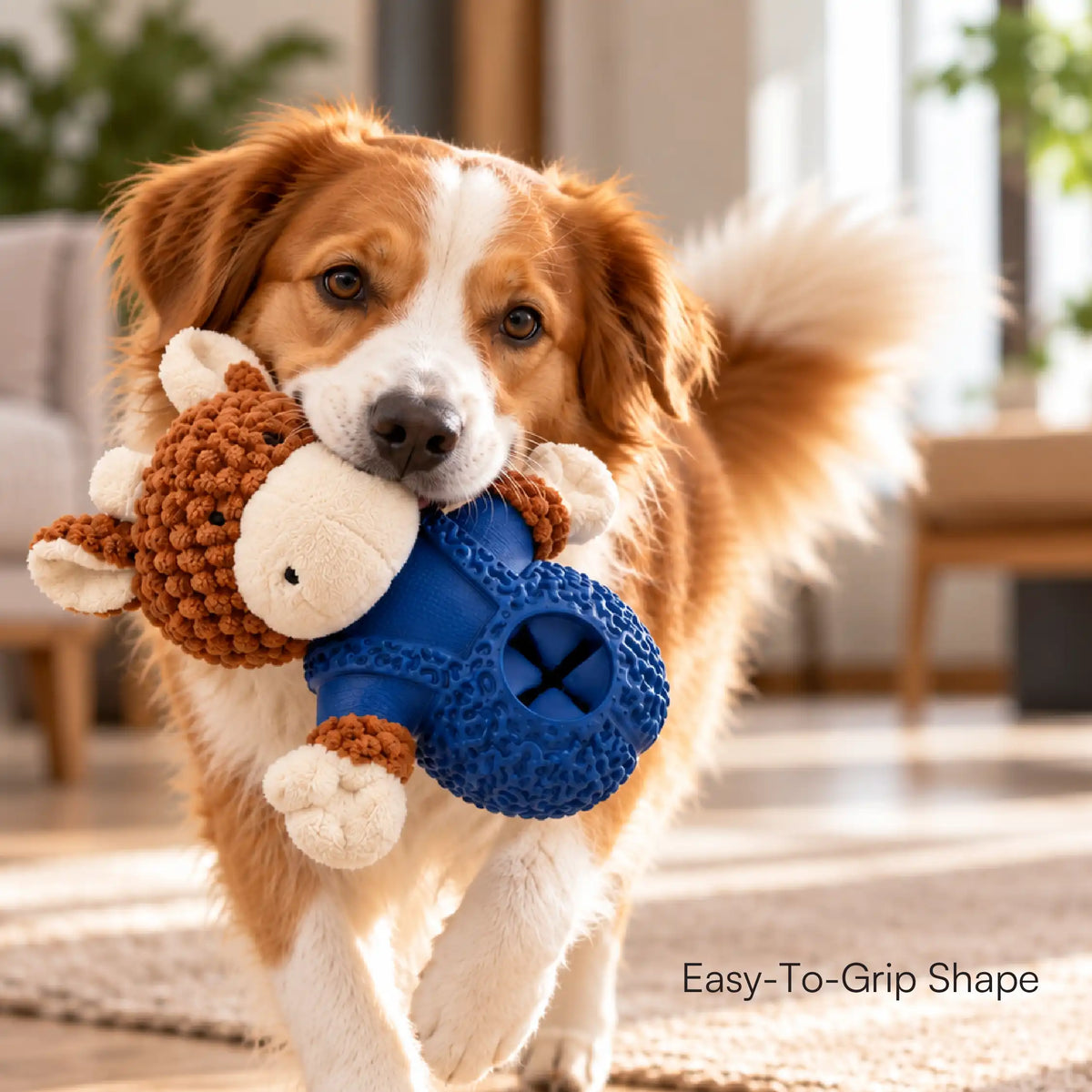 ChewBuddy Toy