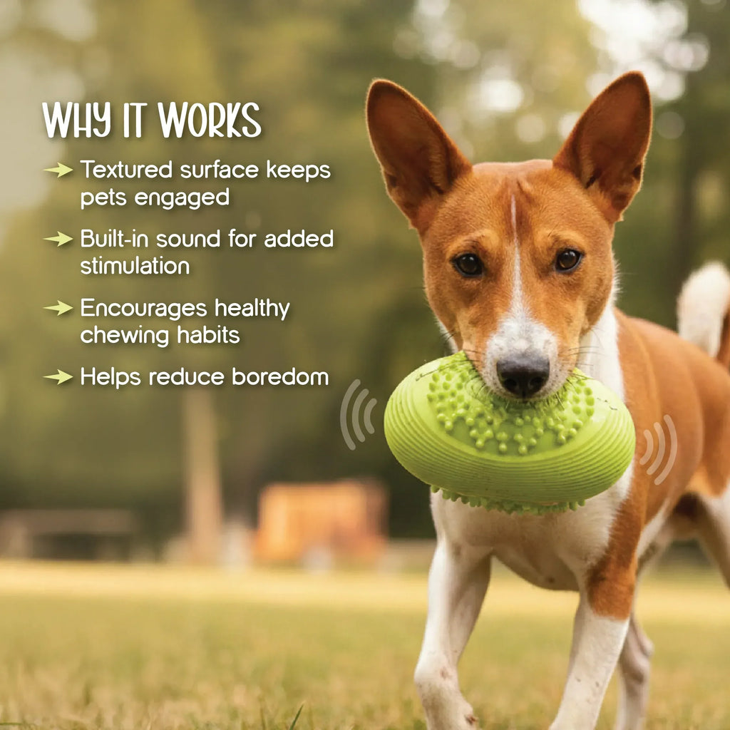 ChewBuzz Toy | Interactive Sound Chew Toy for Dogs | Textured Rubber Boredom Buster