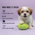 ChewBuzz Toy | Interactive Sound Chew Toy for Dogs | Textured Rubber Boredom Buster