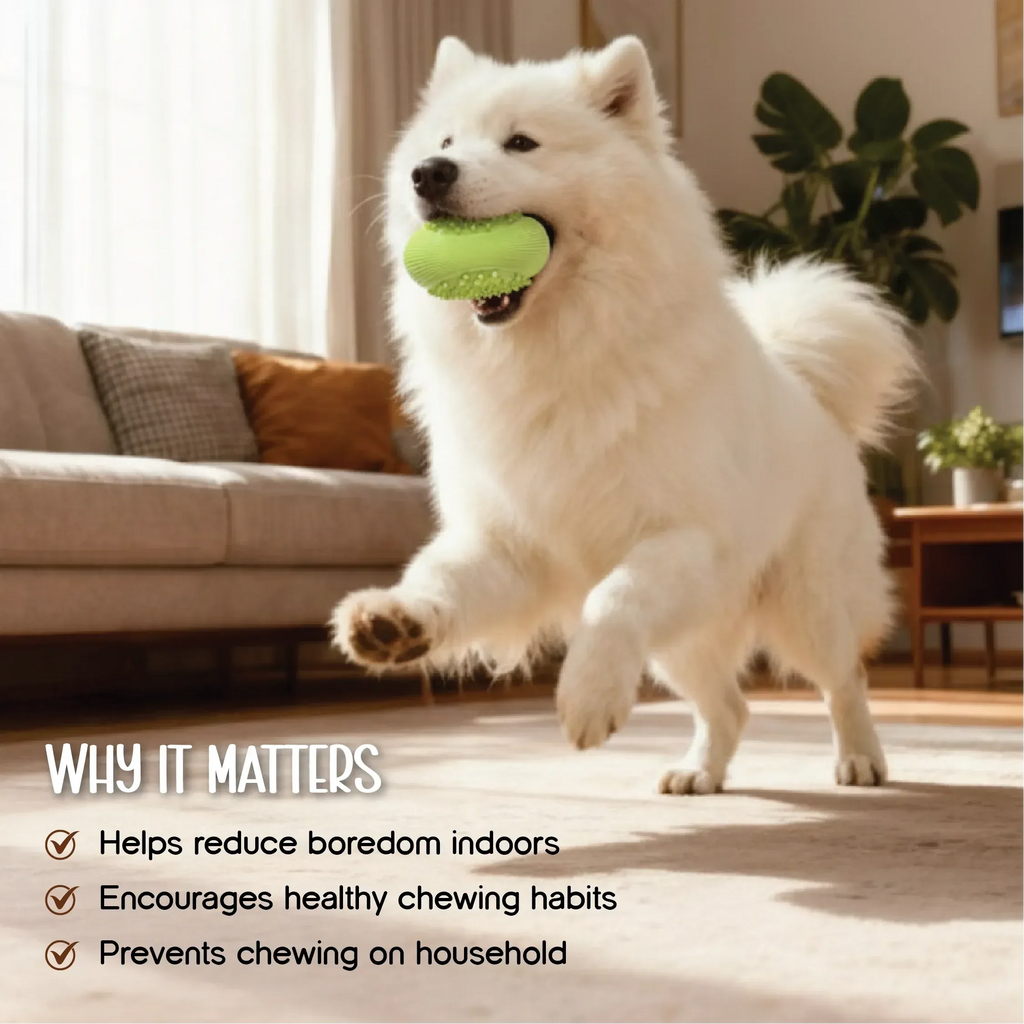 ChewBuzz Toy | Interactive Sound Chew Toy for Dogs | Textured Rubber Boredom Buster