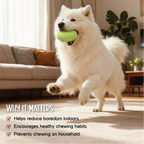 ChewBuzz Toy | Interactive Sound Chew Toy for Dogs | Textured Rubber Boredom Buster
