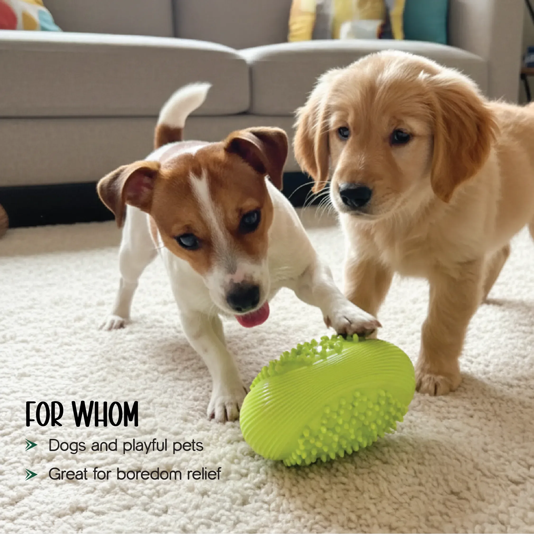 ChewBuzz Toy | Interactive Sound Chew Toy for Dogs | Textured Rubber Boredom Buster