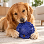 Chompster Toy