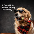 CigarSqueak Toy – Plush Squeaky Toy for Pets
