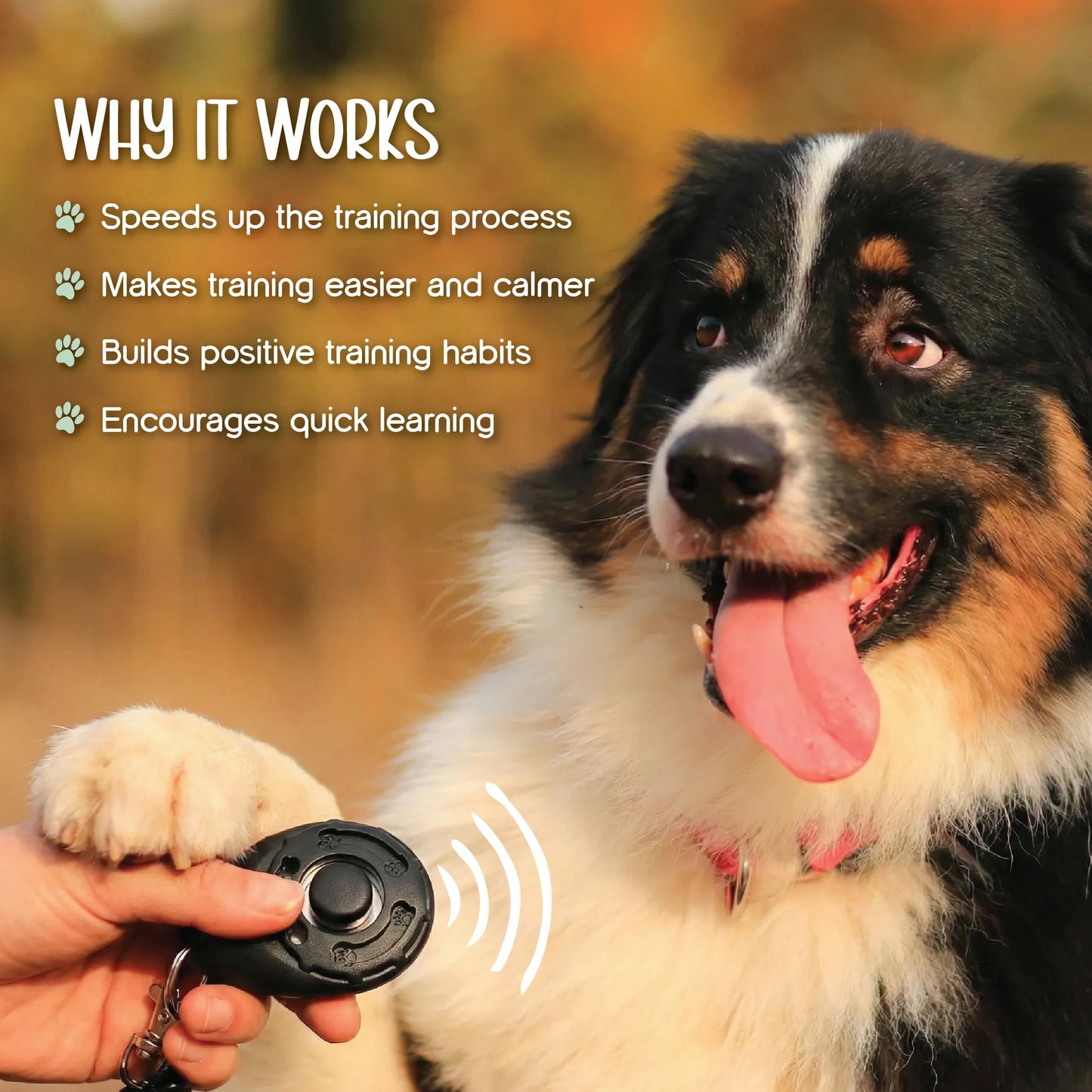 ClickSmart Trainer | Faster, Calmer Pet Training with One Click