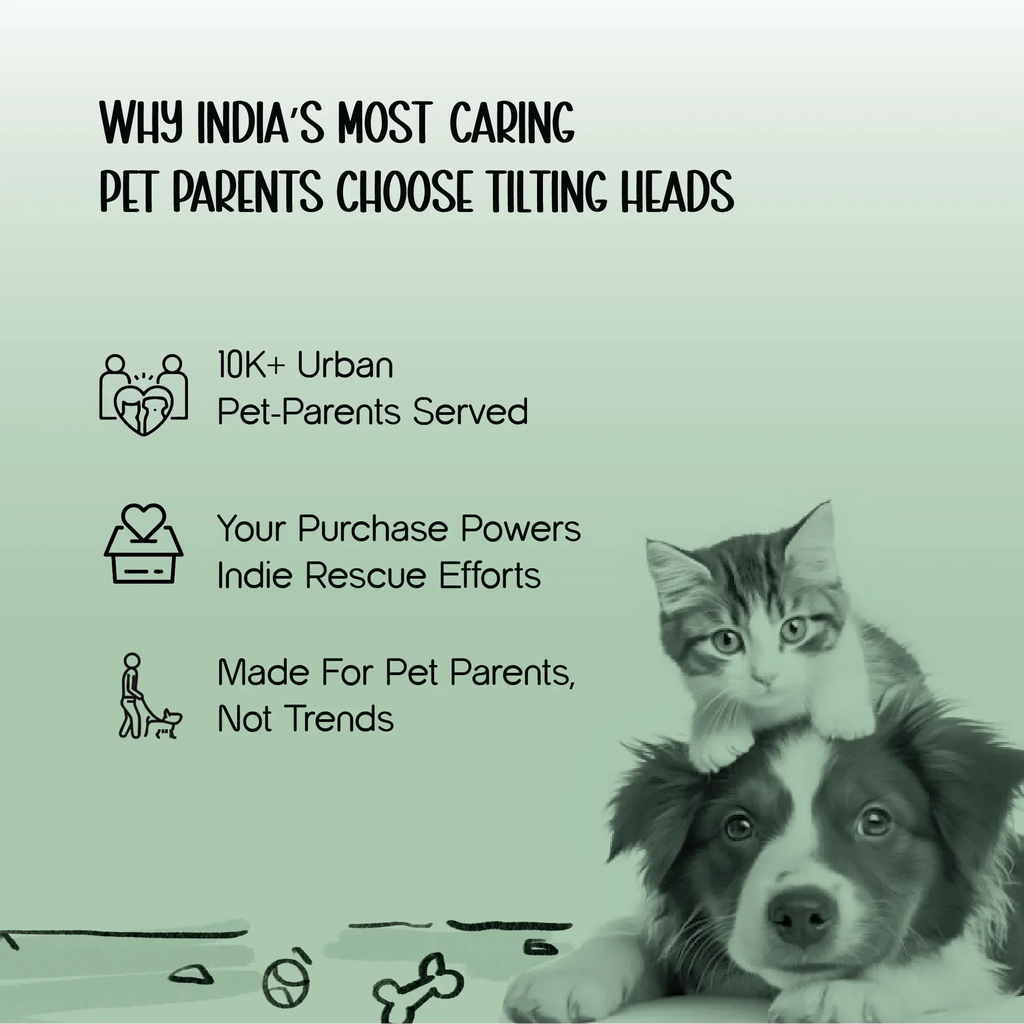 ClickSmart Trainer | Faster, Calmer Pet Training with One Click