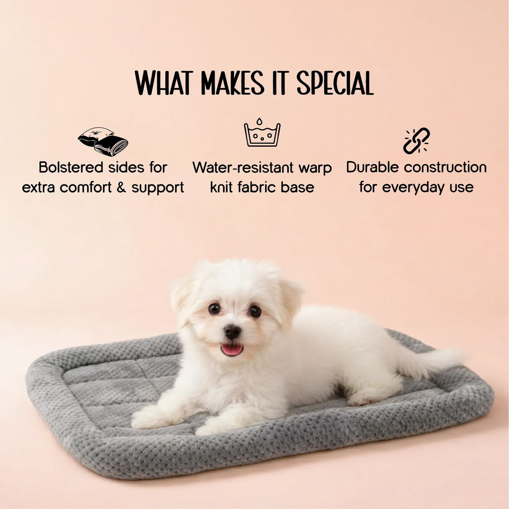 Cloud Quilted Mat– Quilted Crate & Floor Comfort Bed for Small & Medium Pets