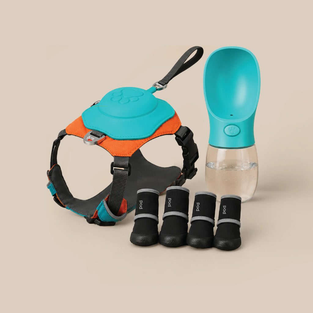 Complete Walk Kit