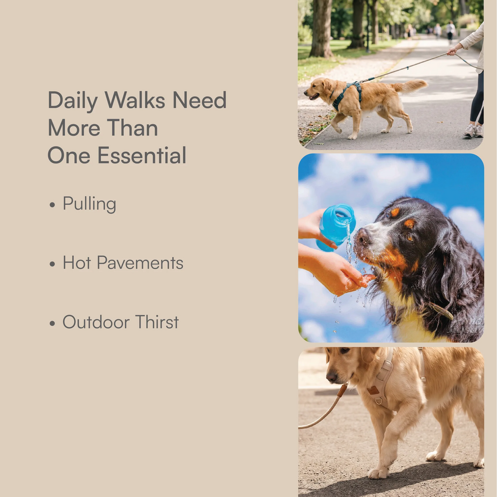 Complete Walk Kit