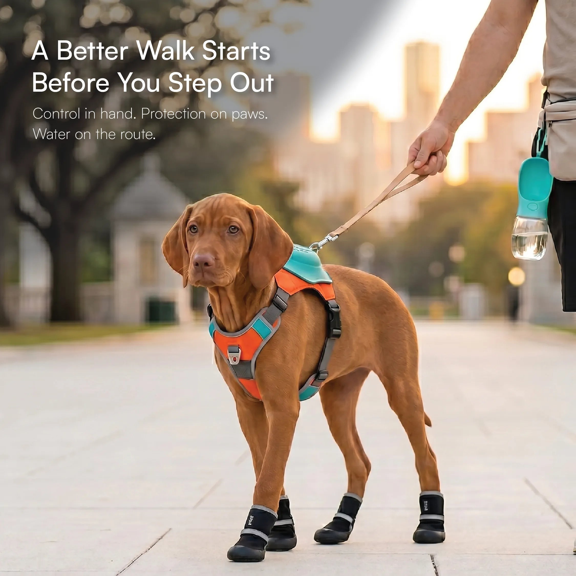 Complete Walk Kit