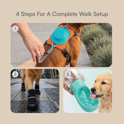 Complete Walk Kit