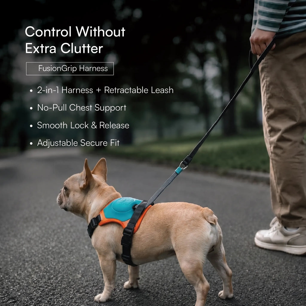 Complete Walk Kit