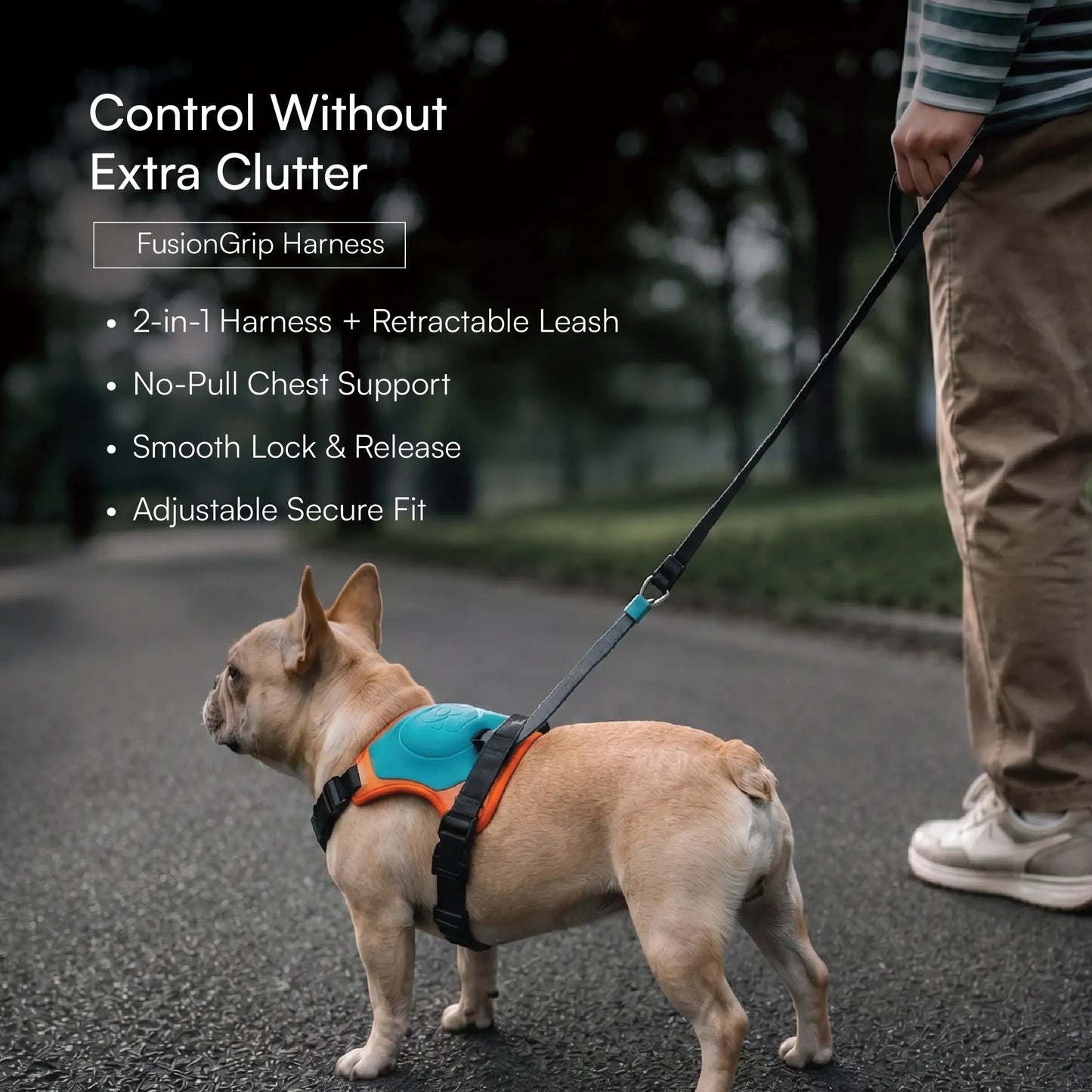Complete Walk Kit
