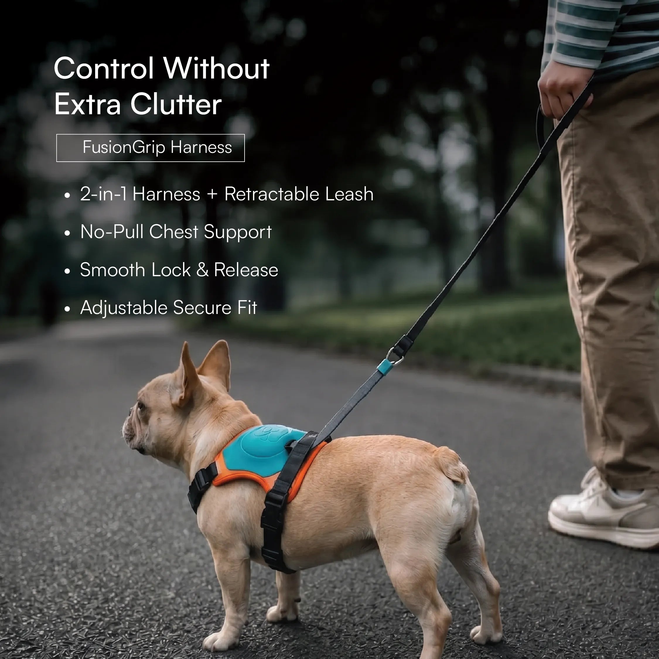 Complete Walk Kit