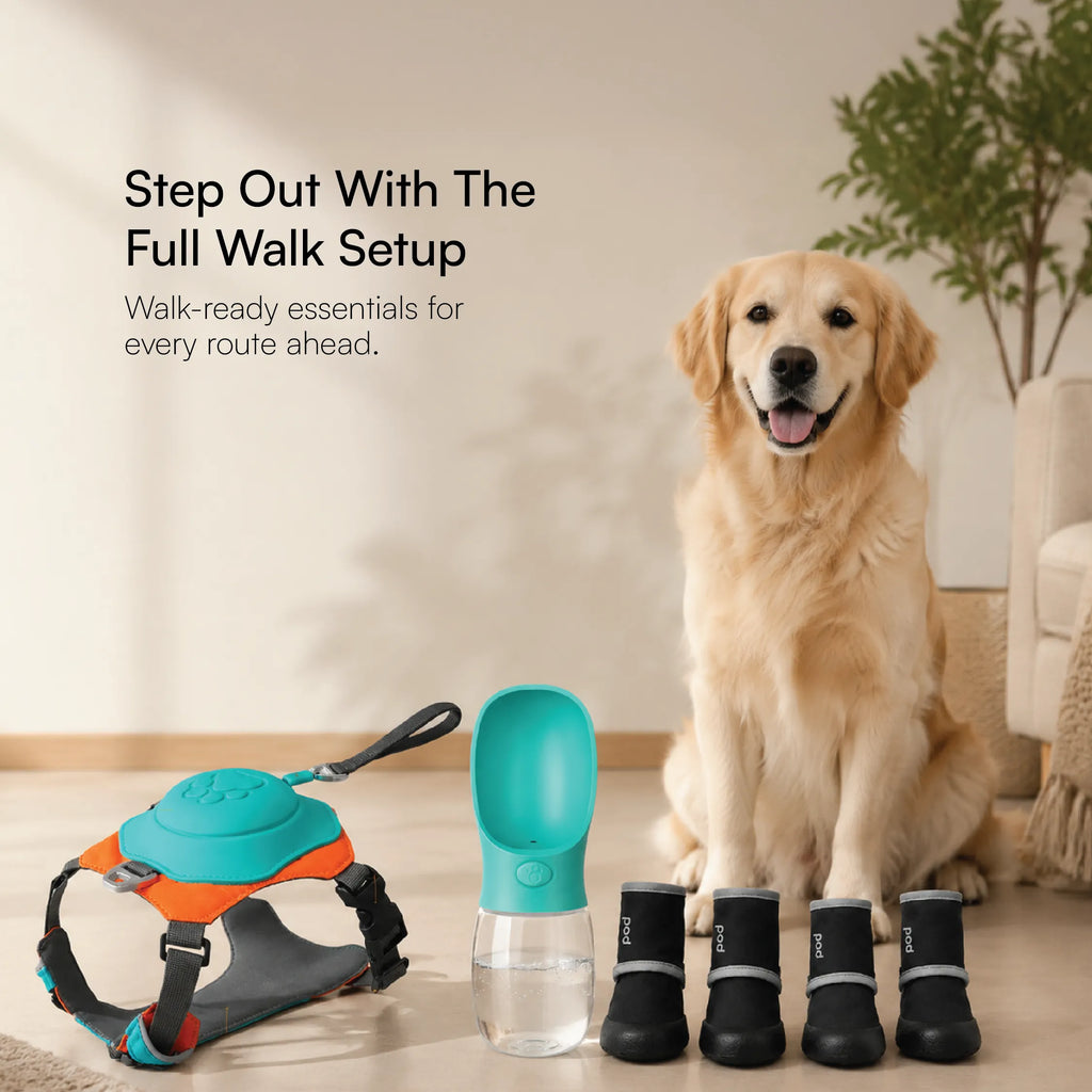Complete Walk Kit