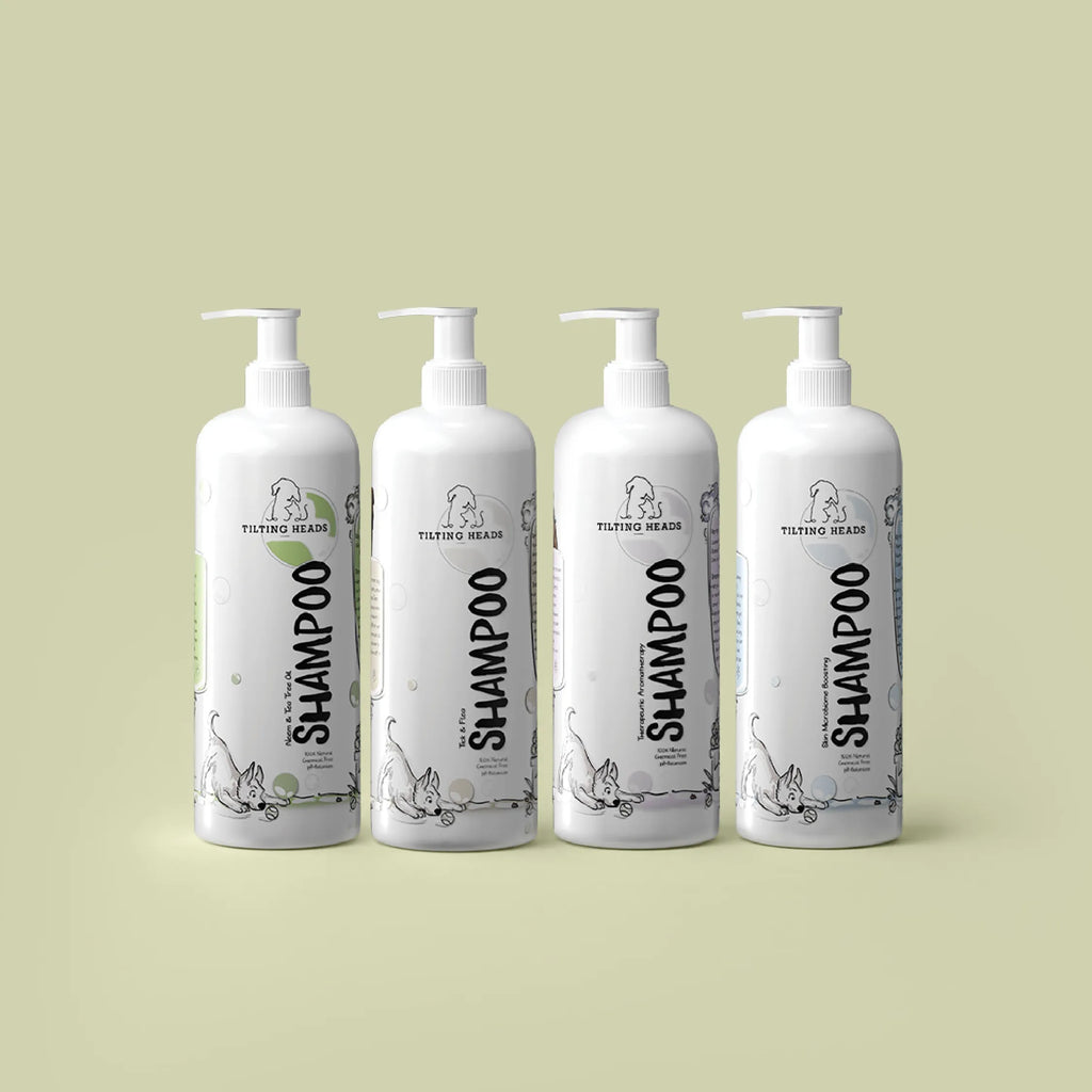 Complete Care Shampoo for Year Round Protection | Tilting Heads