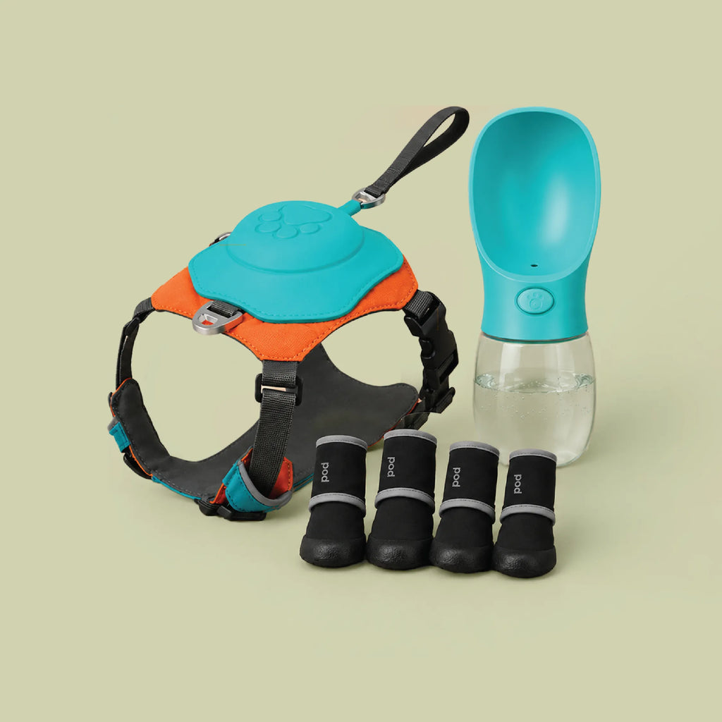 Complete Walk Kit | Control, Protect & Hydrate