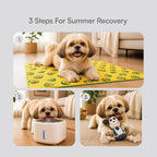 Cool Rest Corner Kit | Summer Comfort Setup