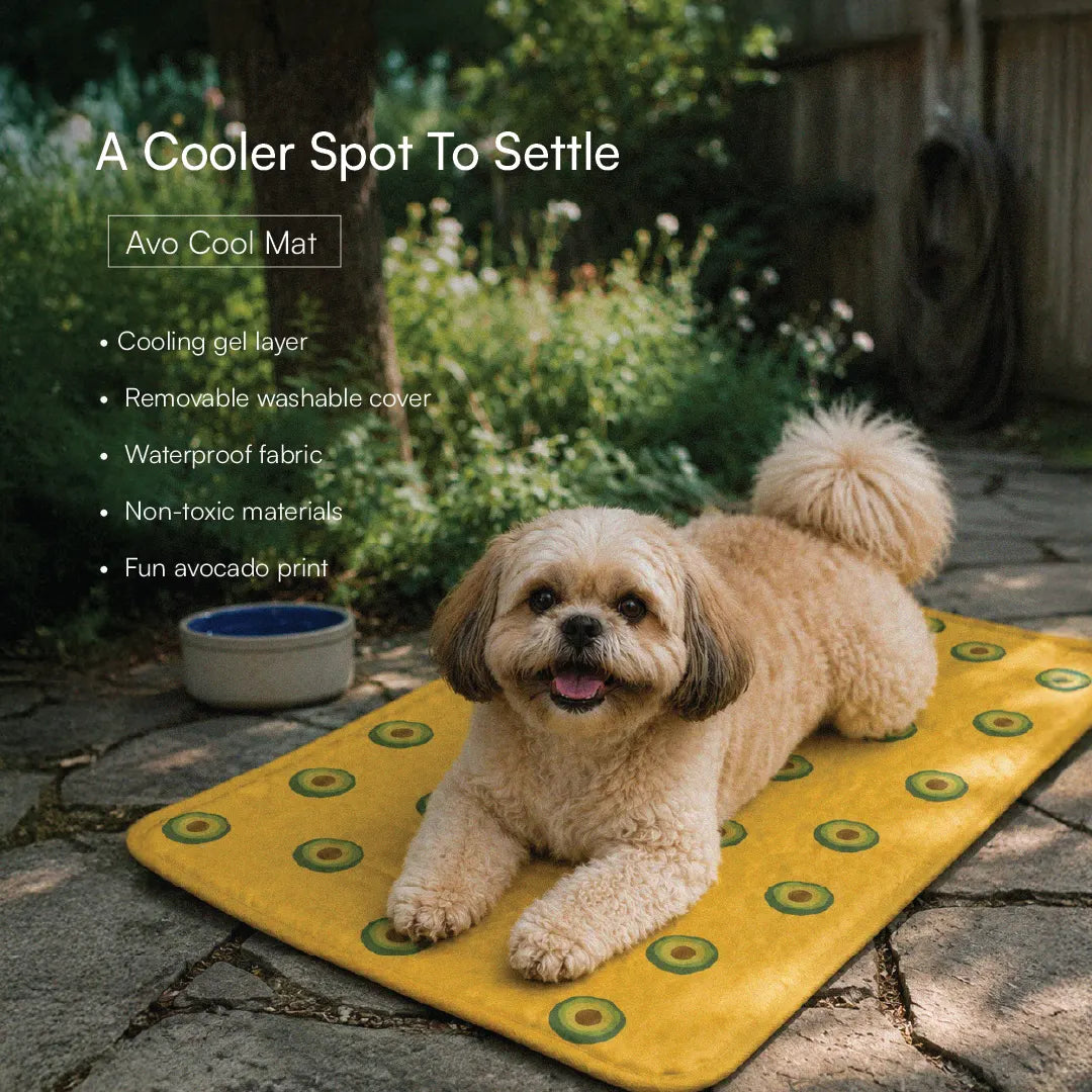 Cool Rest Corner Kit | Summer Comfort Setup