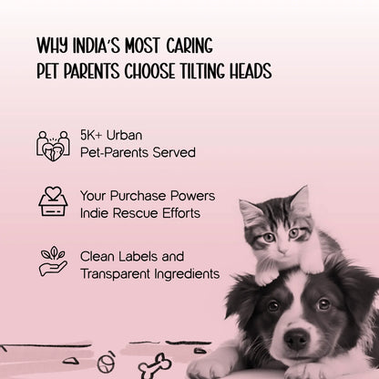 BellBop Toy – A Rolling Bell Toy That Keeps Cats Active & Happy - Tilting Heads