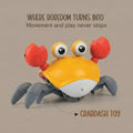 CrabDash Toy | Motion-Driven Play for Energetic Indoor Pets - Tilting Heads