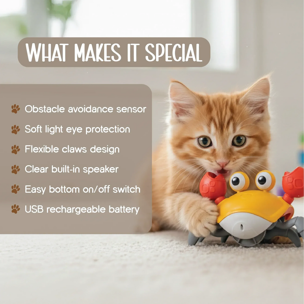 CrabDash Toy | Motion-Driven Play for Energetic Indoor Pets - Tilting Heads