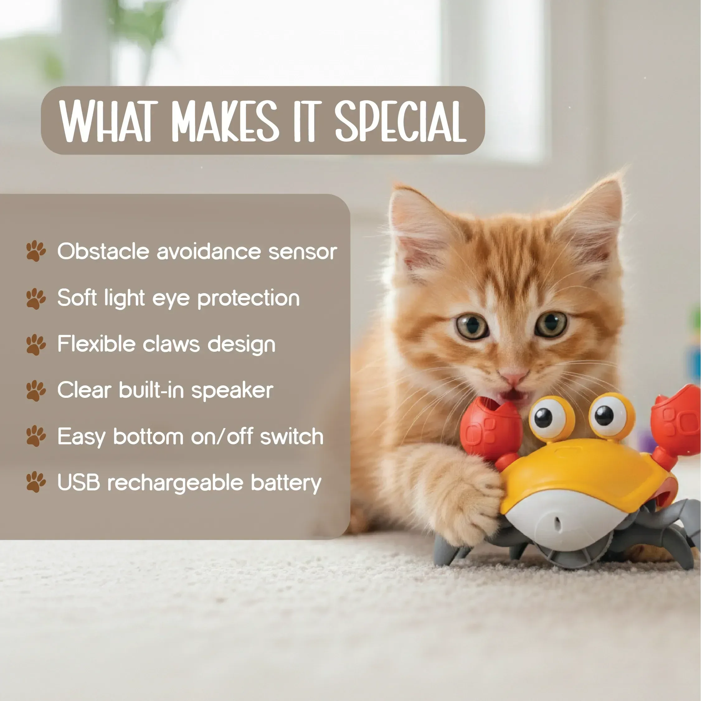 CrabDash Toy | Motion-Driven Play for Energetic Indoor Pets - Tilting Heads