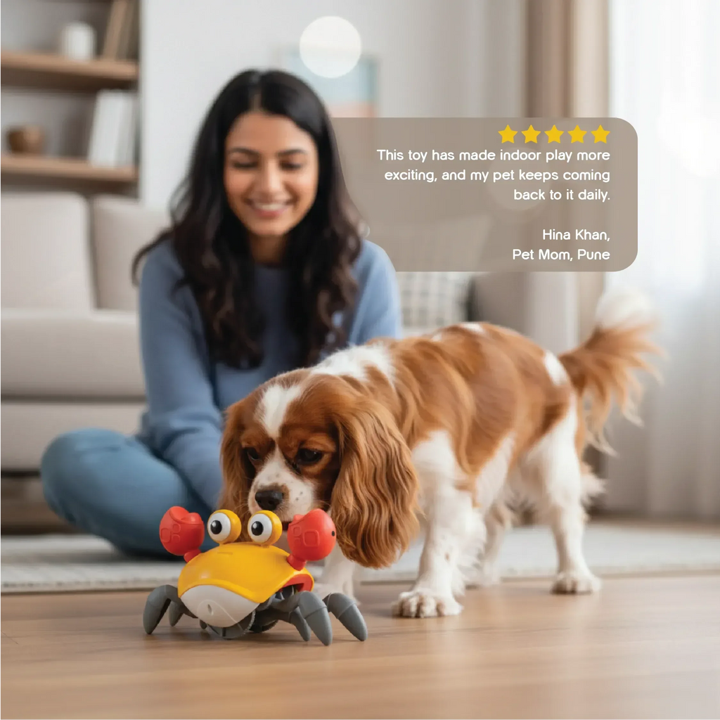 CrabDash Toy | Motion-Driven Play for Energetic Indoor Pets - Tilting Heads