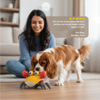 CrabDash Toy | Motion-Driven Play for Energetic Indoor Pets - Tilting Heads